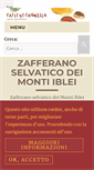 Mobile Screenshot of fattidicannella.it